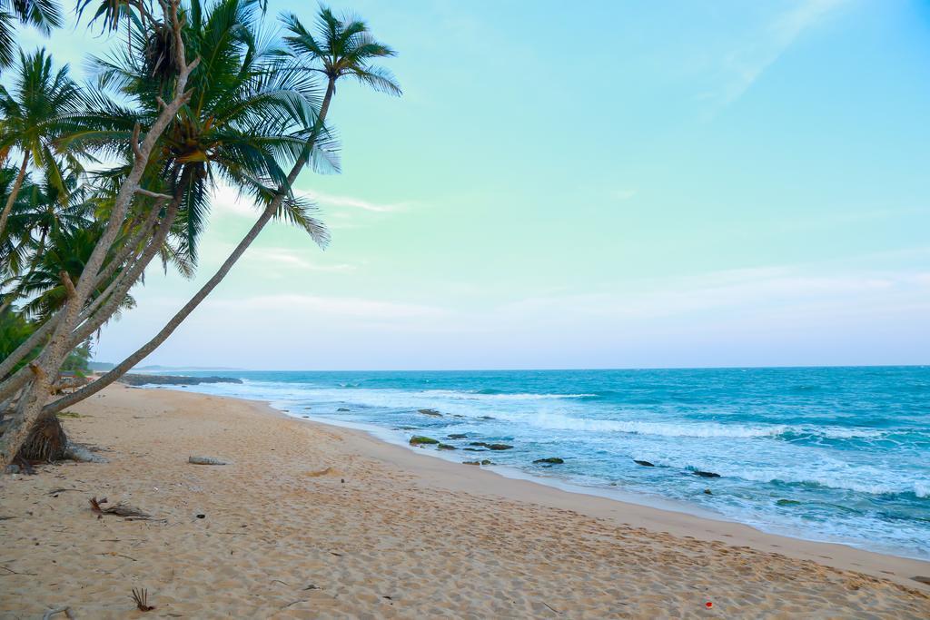 Autumn Moon Beach Cabanas 坦加拉 外观 照片